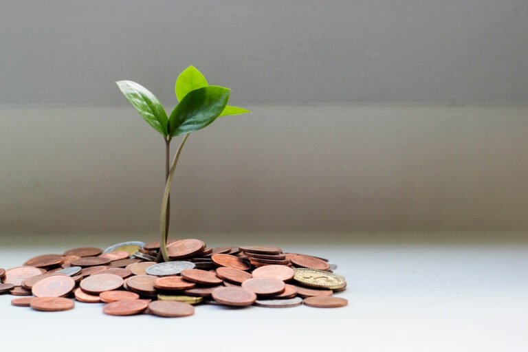 Discover Bank vs Ally Bank: Which Pays the Best APY Right Now?